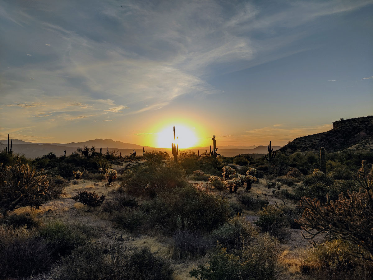 Looking out at the desert.